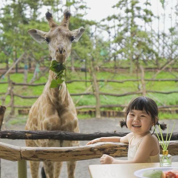 ˗ˏˋ♡铁锤妹妹😼