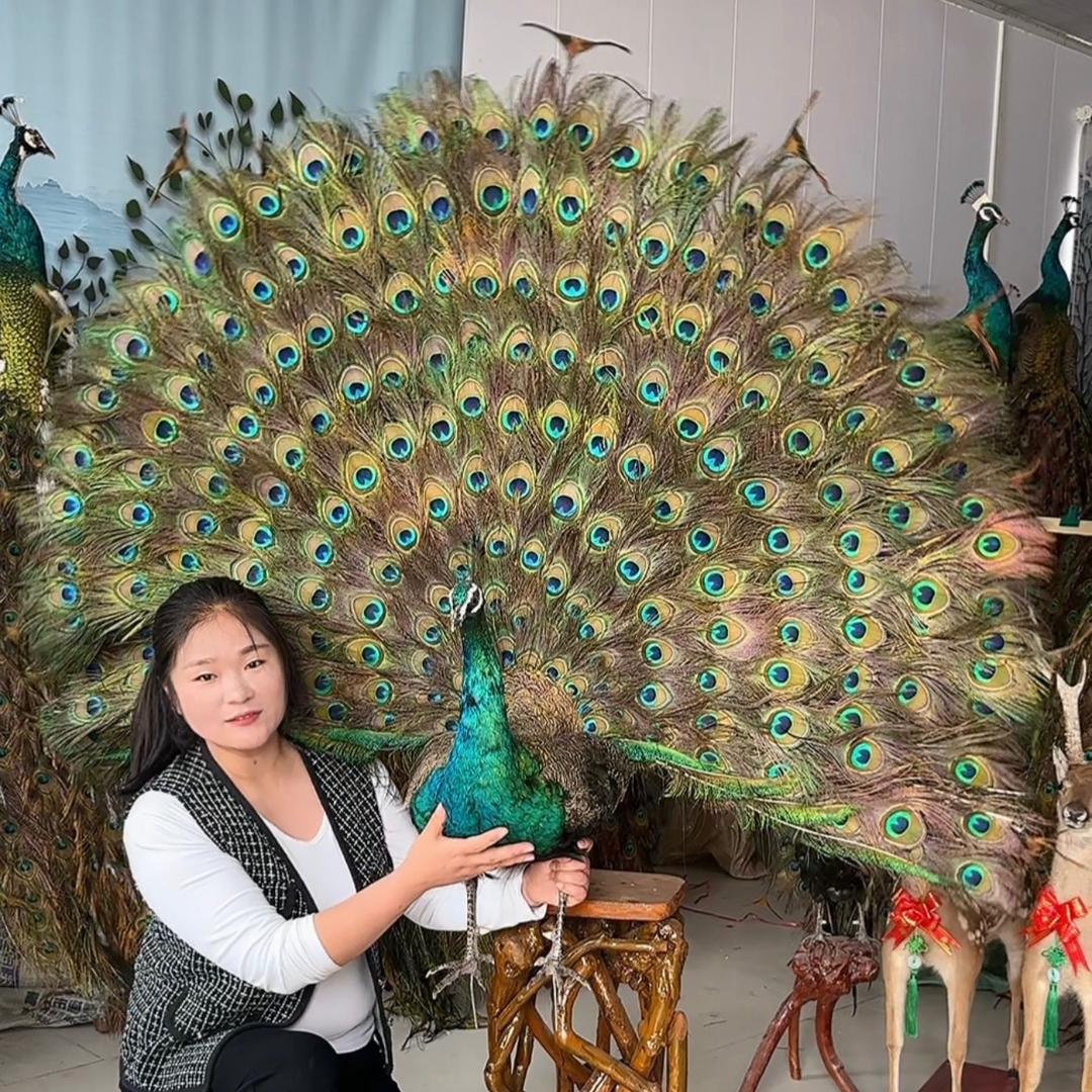 珍禽养殖许姐