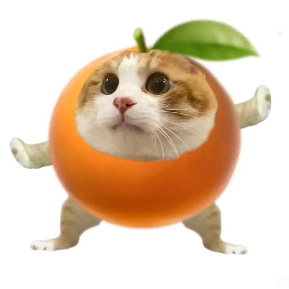 橘调摇摇盏@抖音