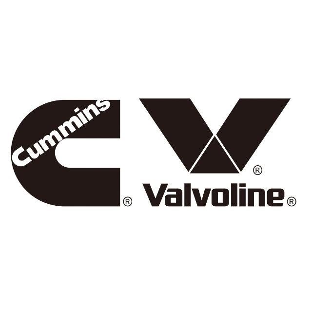 CVkangmingsi