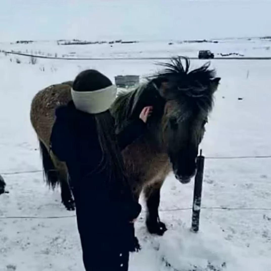 那片海
