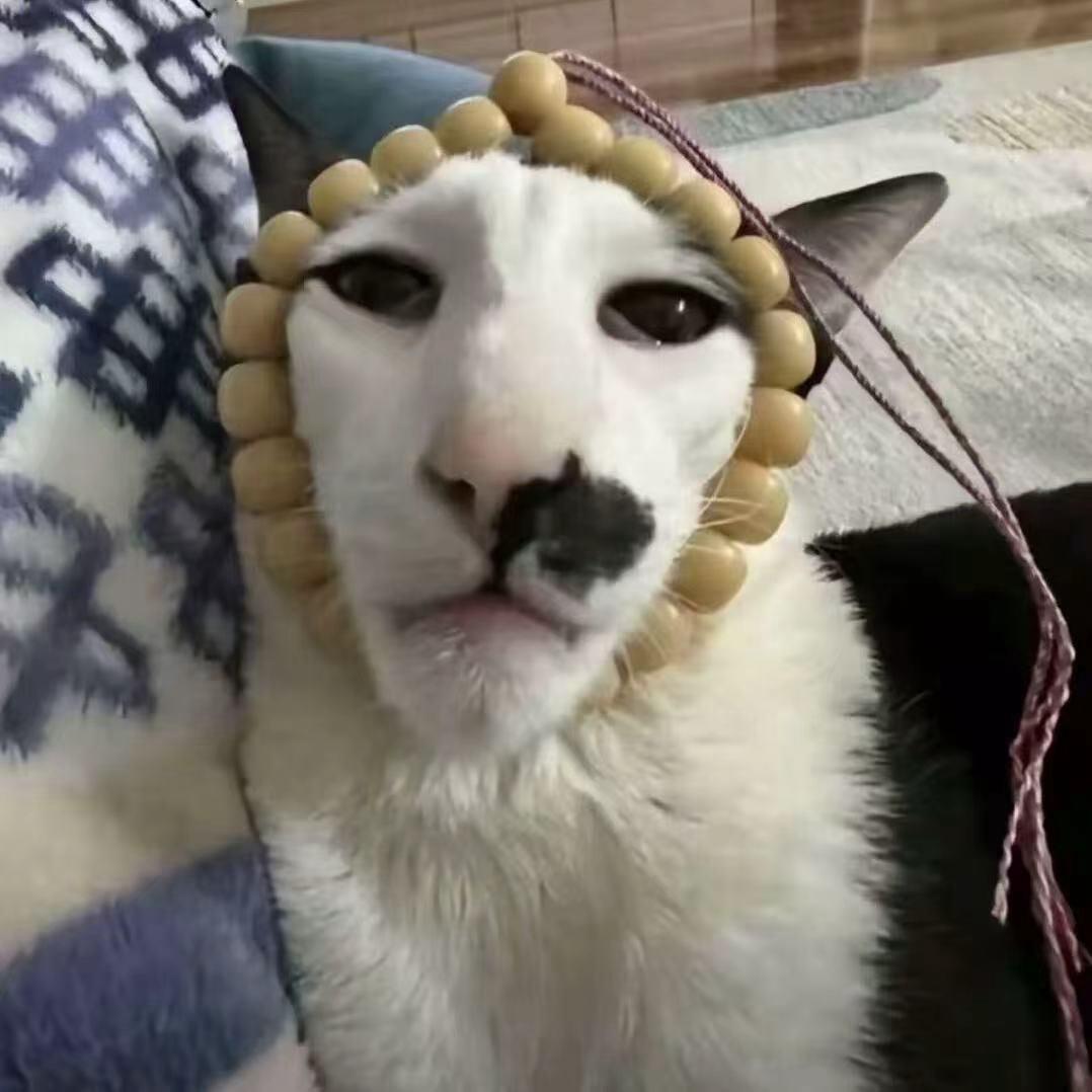 秦皇岛穿孔师Meg