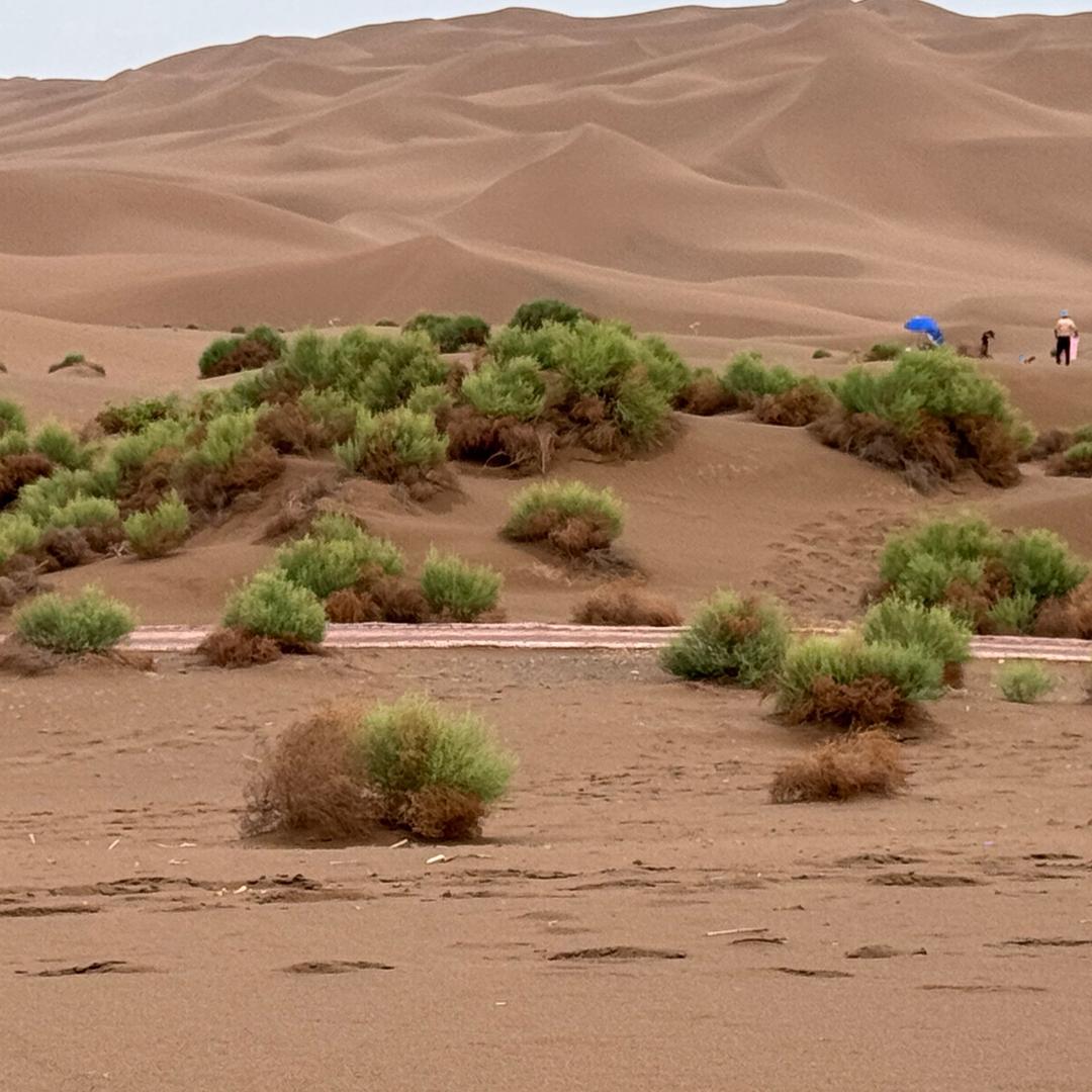 BAYBOLTOP商品小号