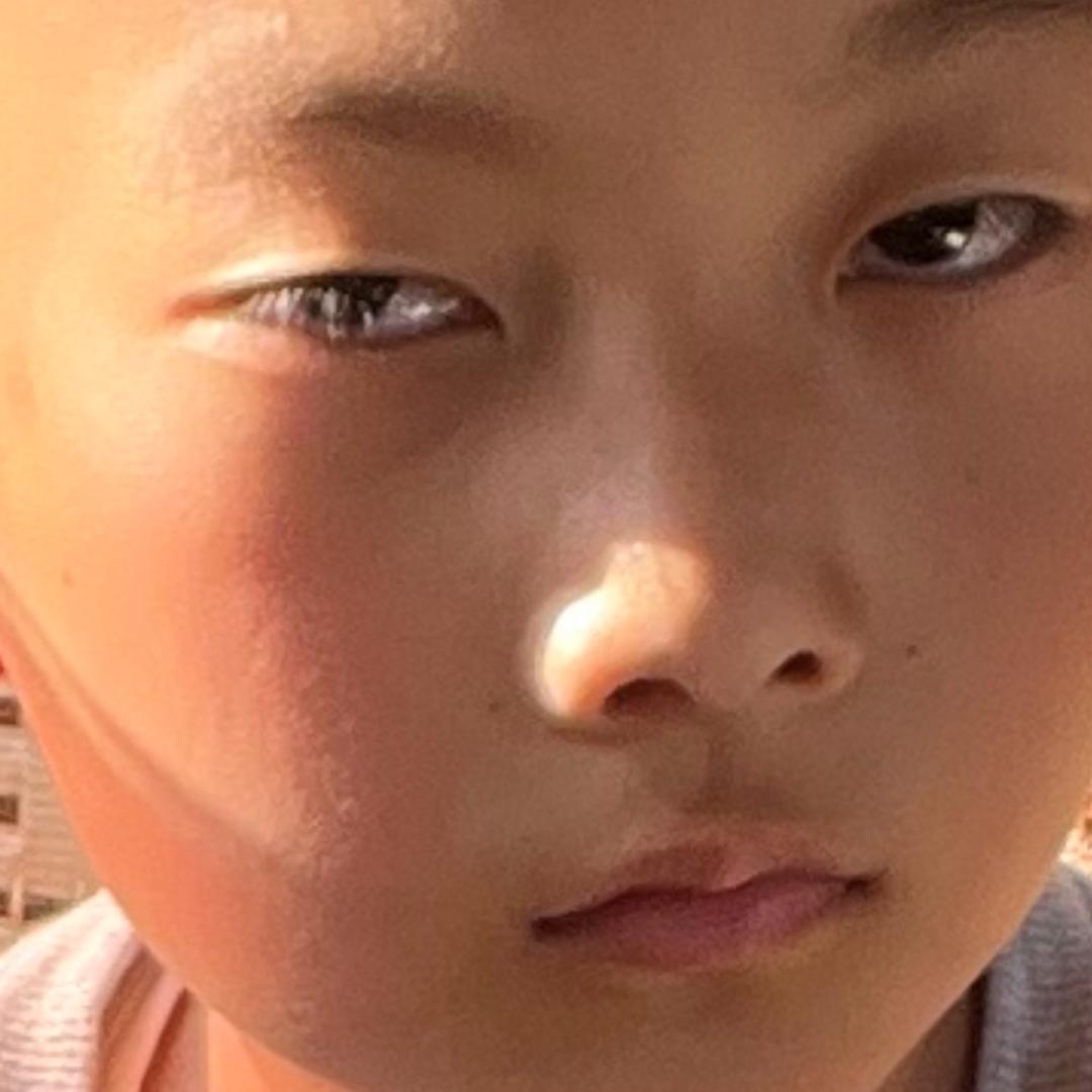 收获不满齐毛毛