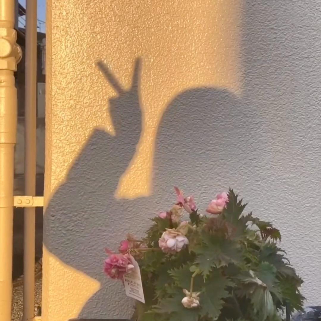 马儿.