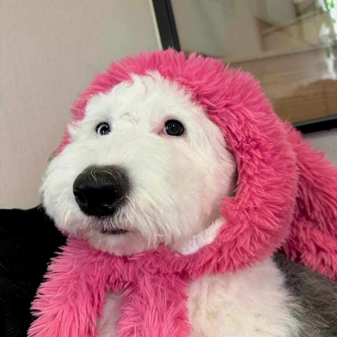 尼尼〠