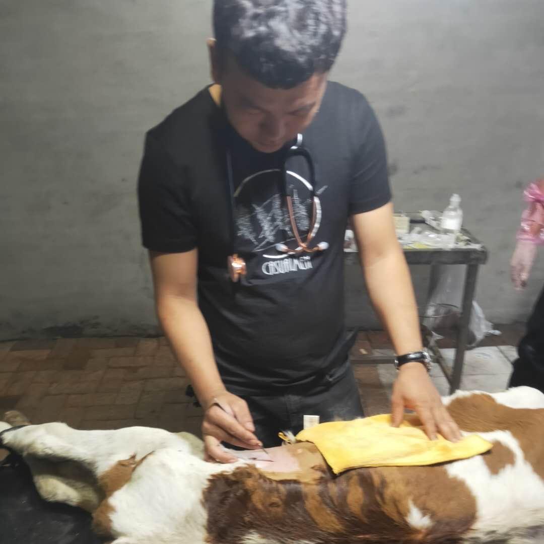 兽医小李说养猪