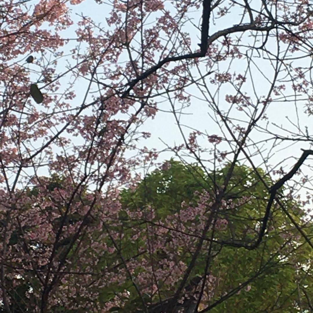 小米族双界箱包专卖店