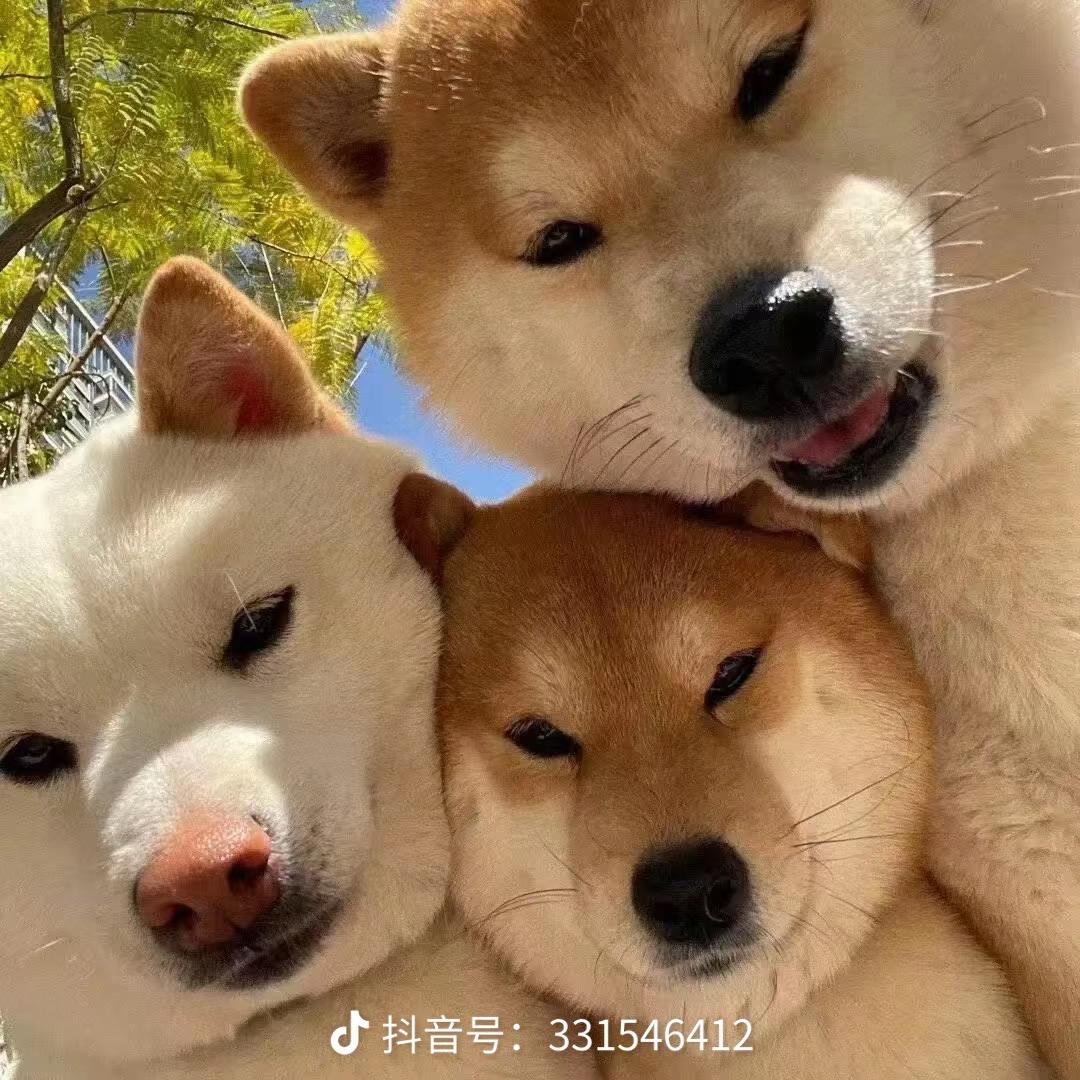 随缘