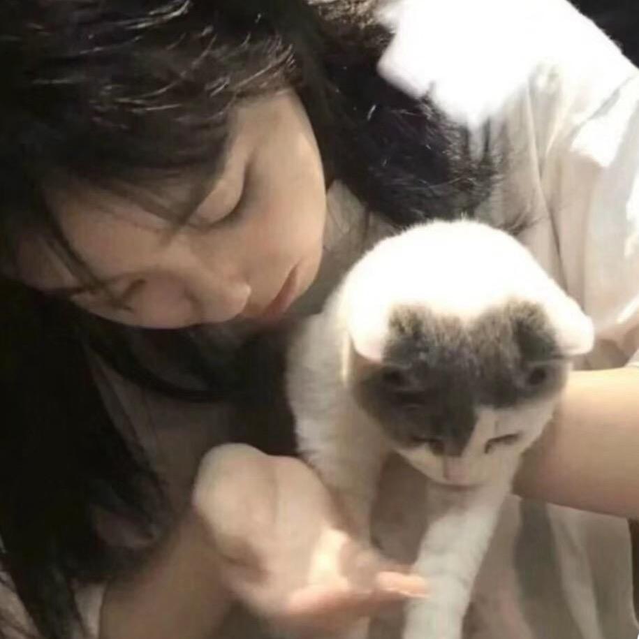 小🐑羊