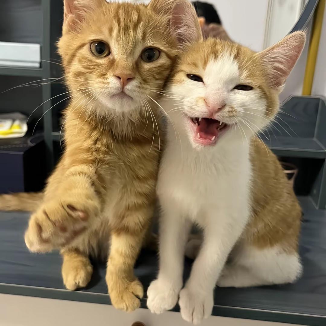 超级无敌大魔王