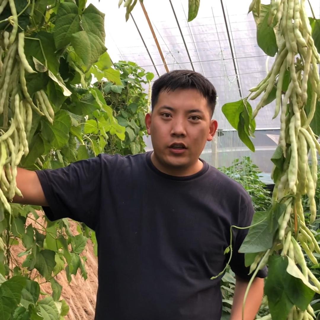 和宜农业科技
