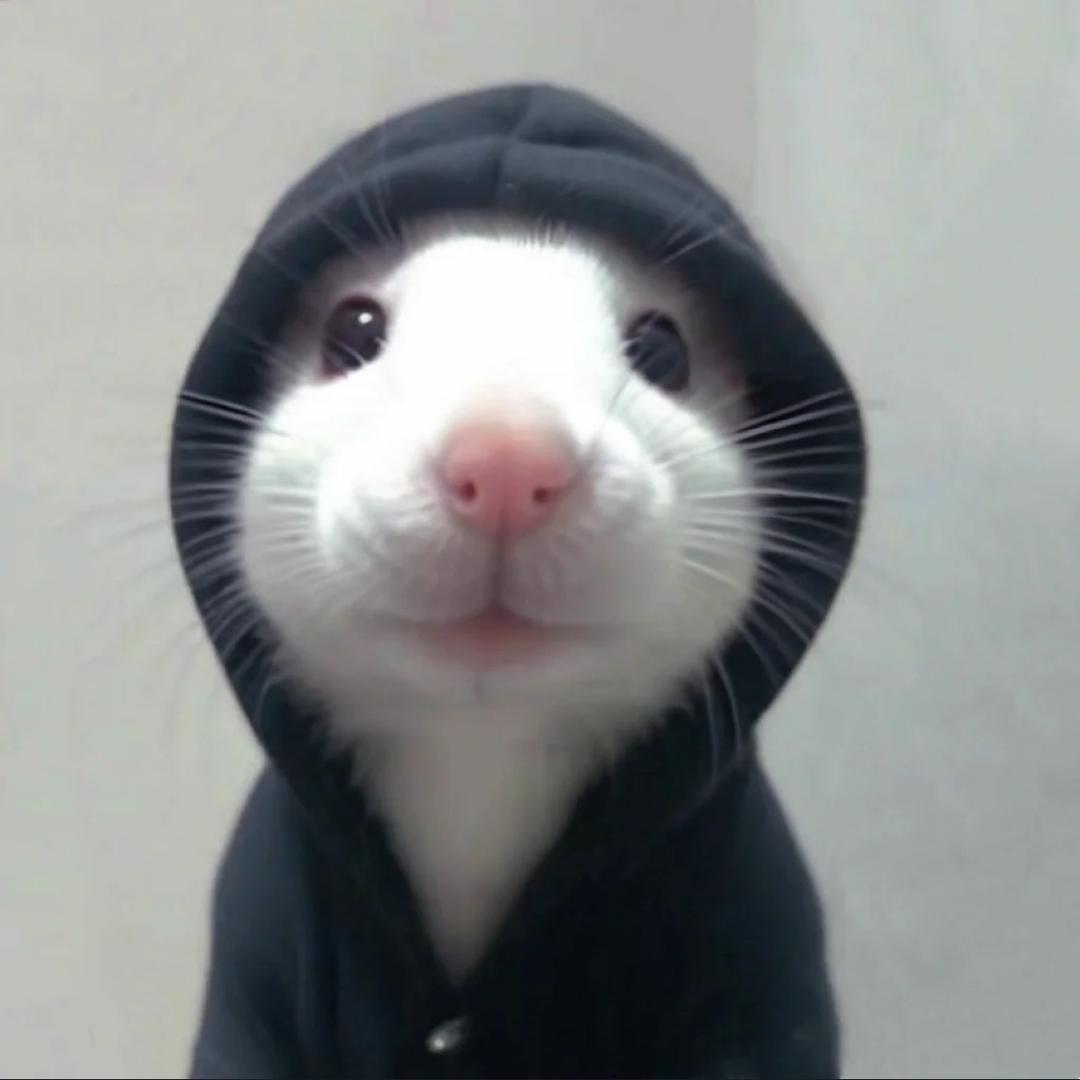 姚斯礼