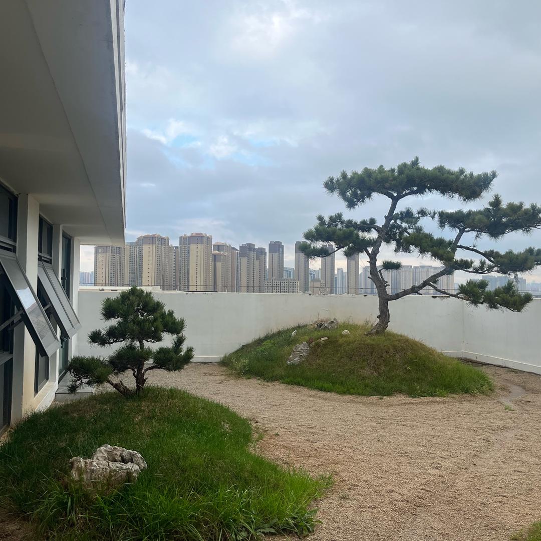 一步一个脚印