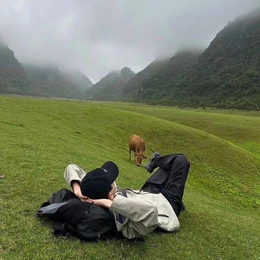 不想再做细狗