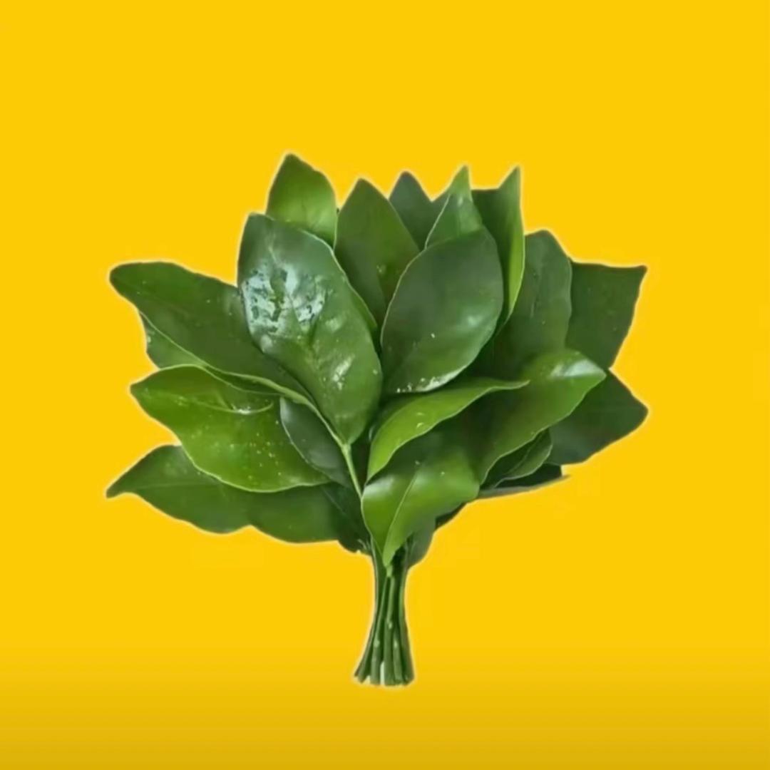 四叶草