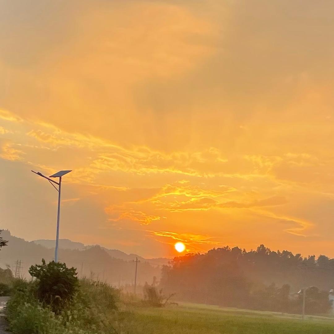 輕夏暖桑榆