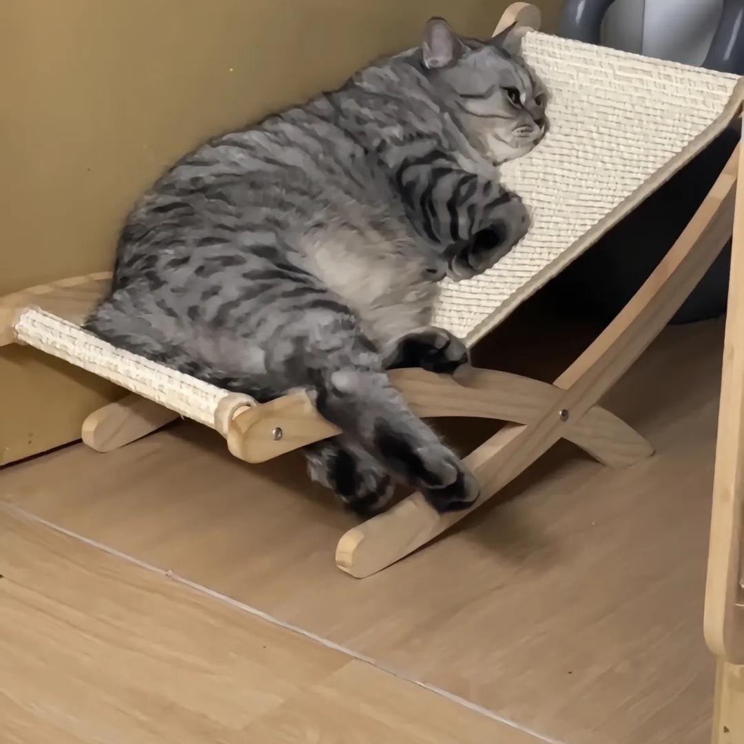 喵滋