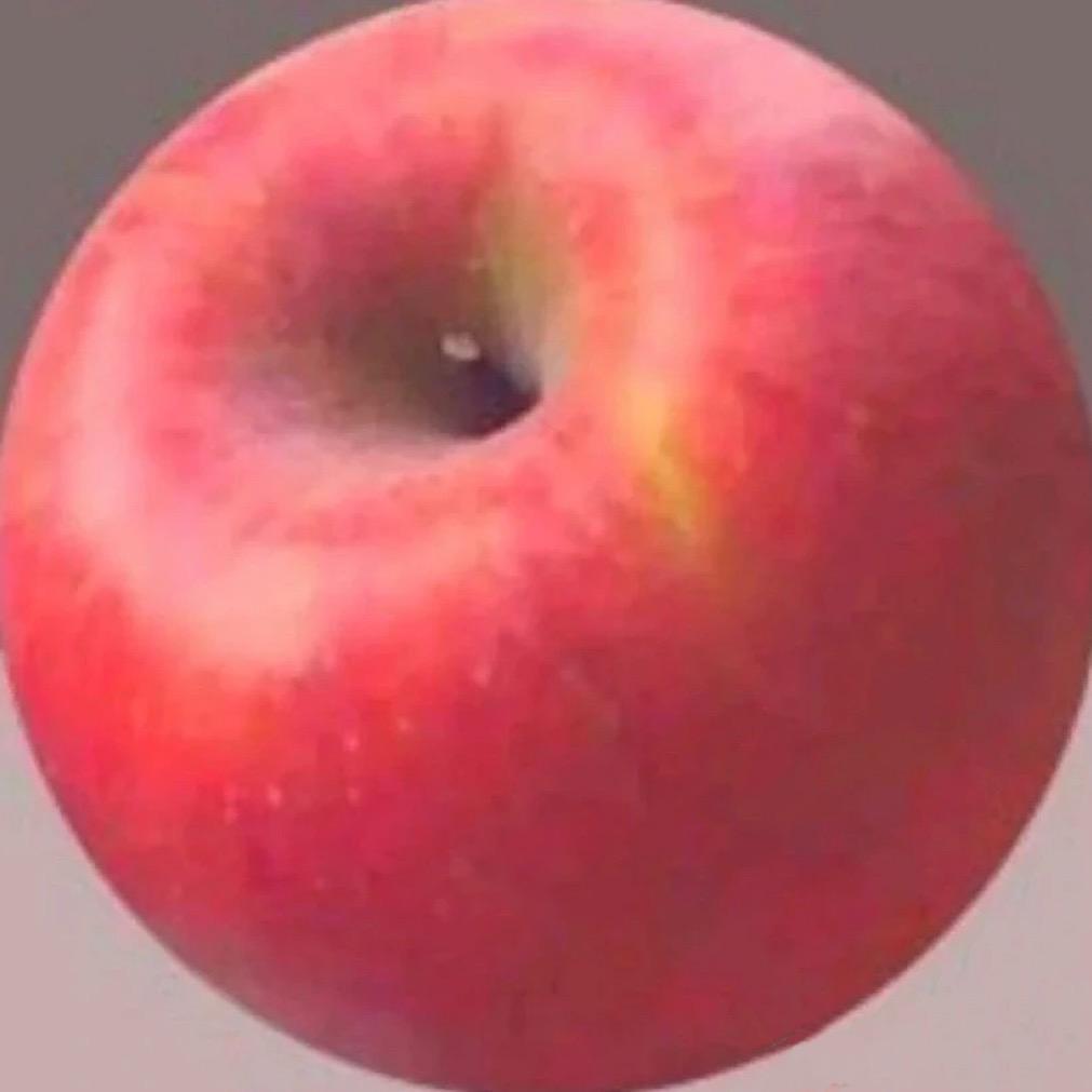 一棵梧桐树