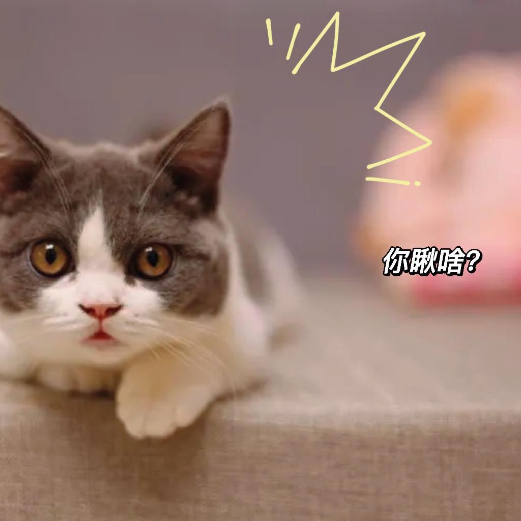 自学入门