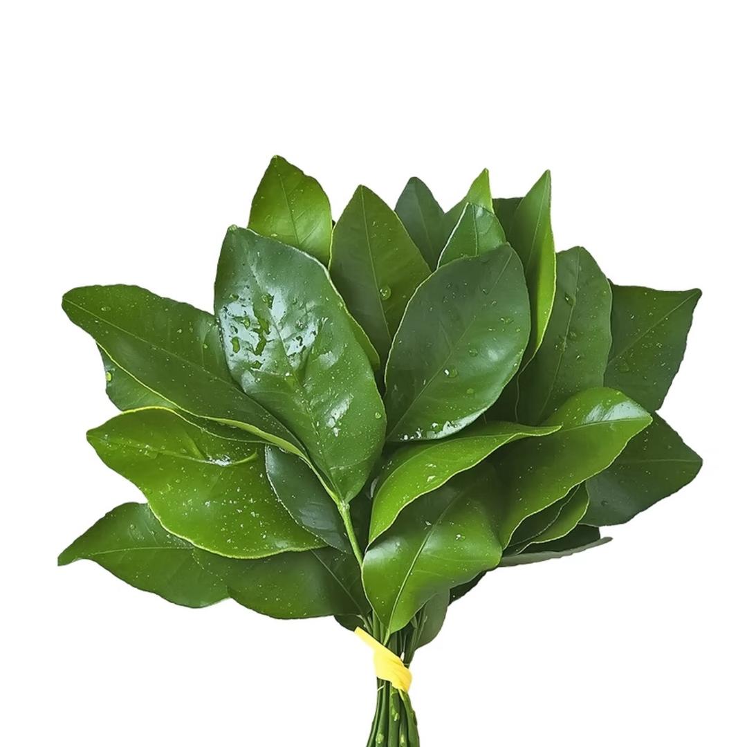 用户