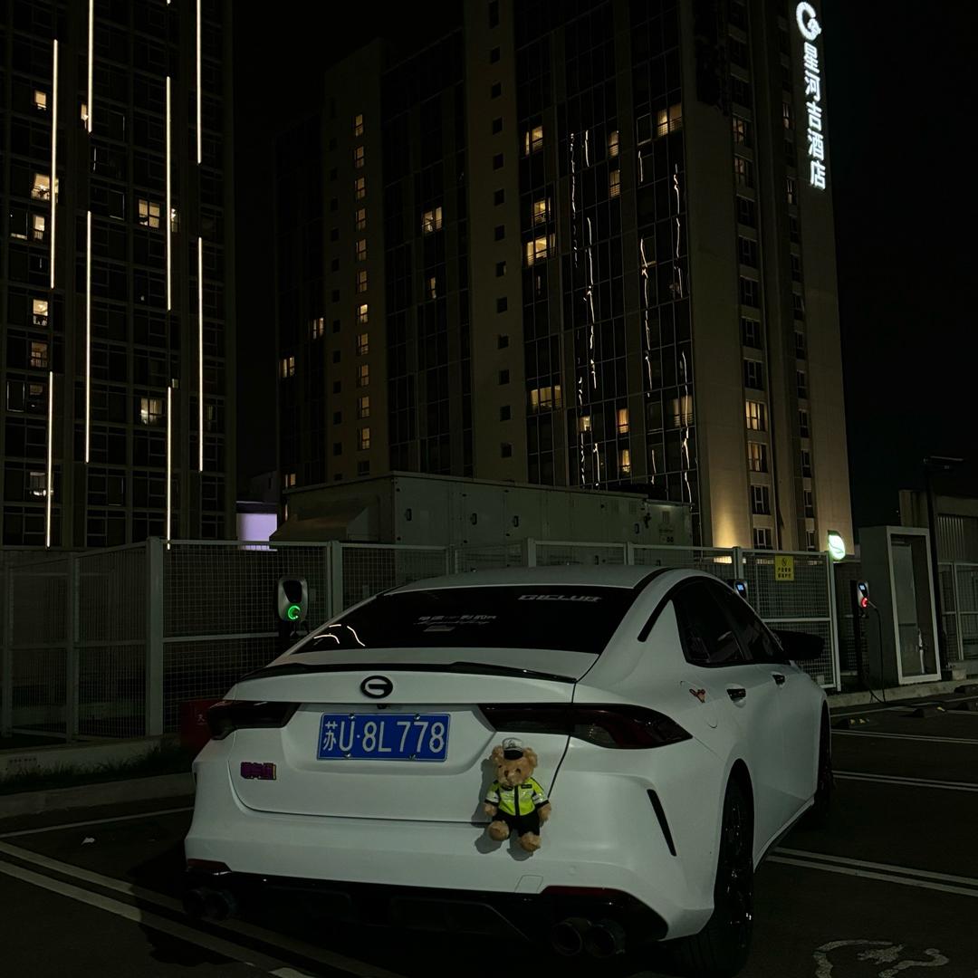 小李的豹