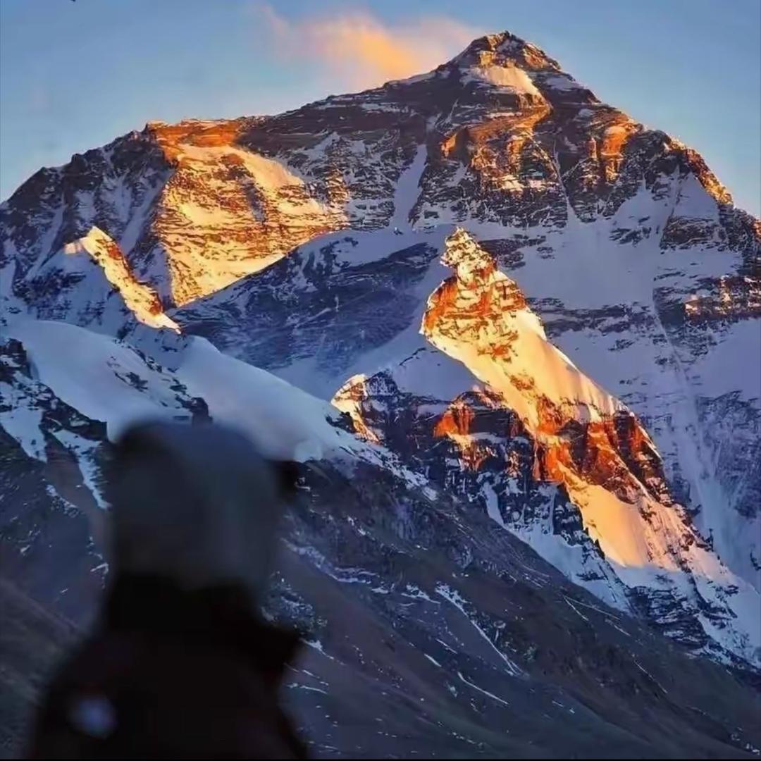 557 올레HUA（1120/30）