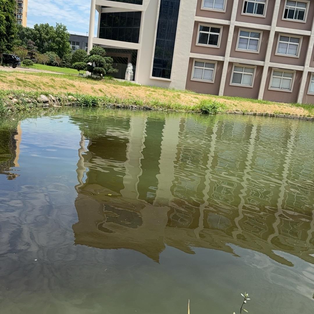 云谣之水水产养殖