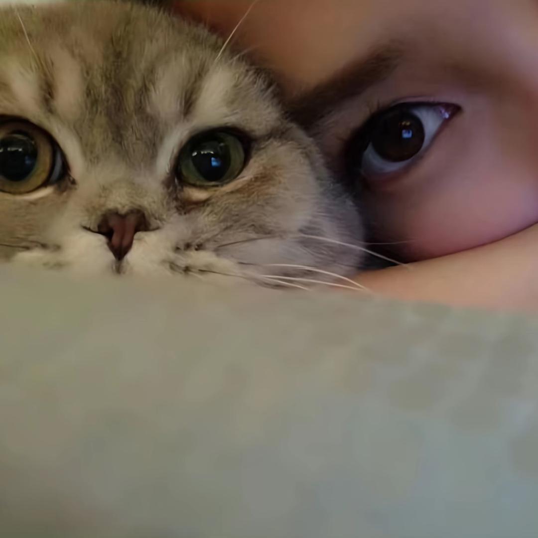 风禾雾