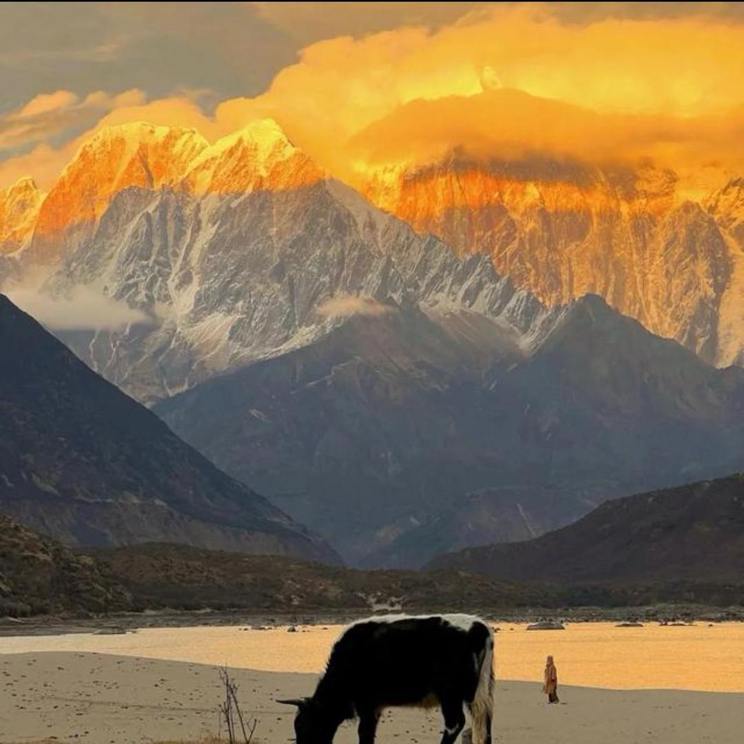 仙桃蒋哥（吊顶）