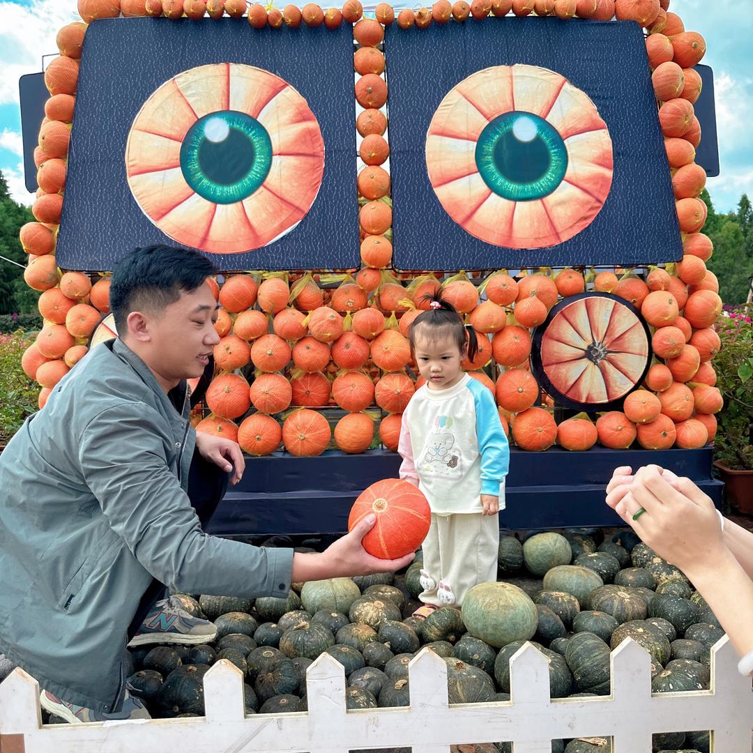 云南沐小希鲜花 全国发货