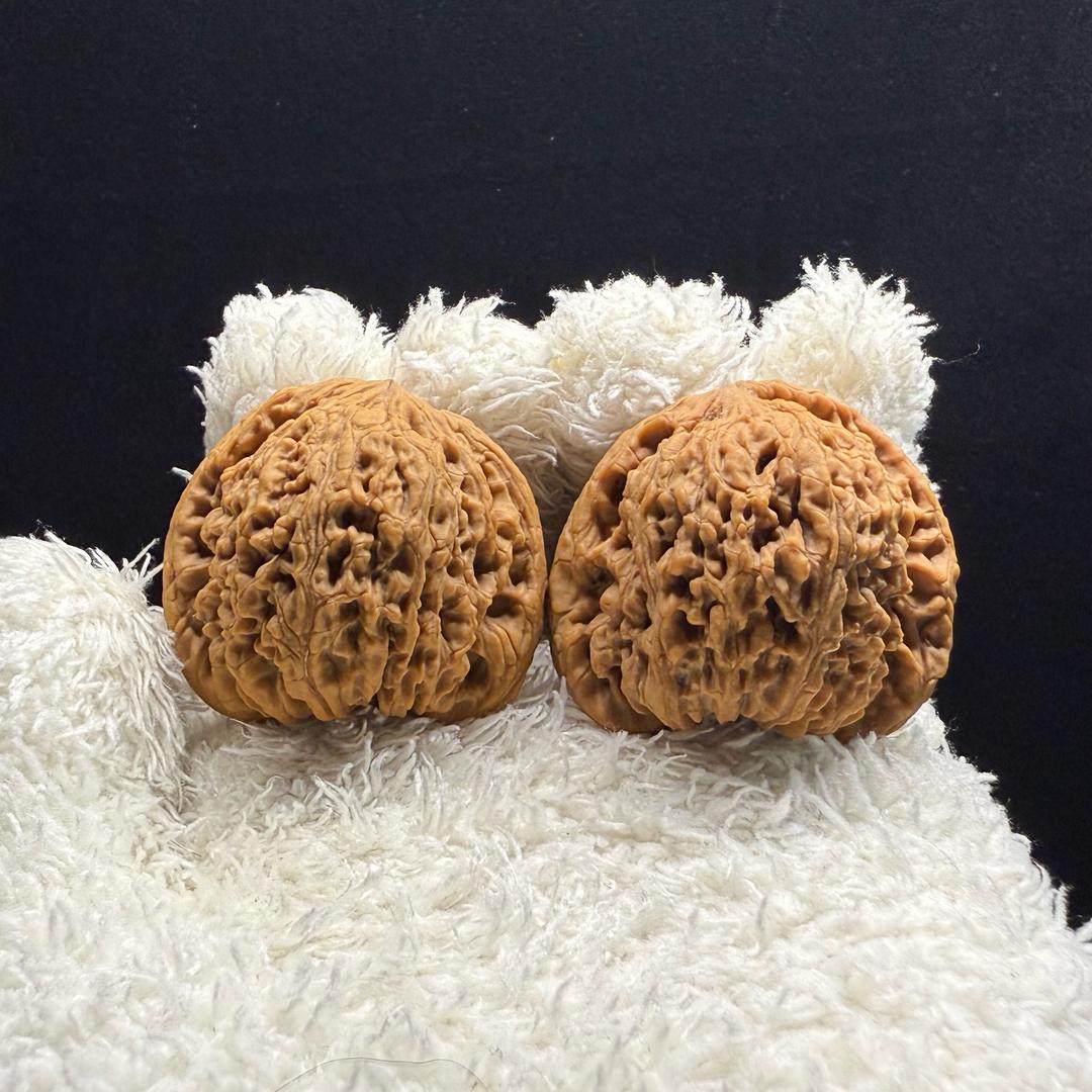 硬核·掌上春秋