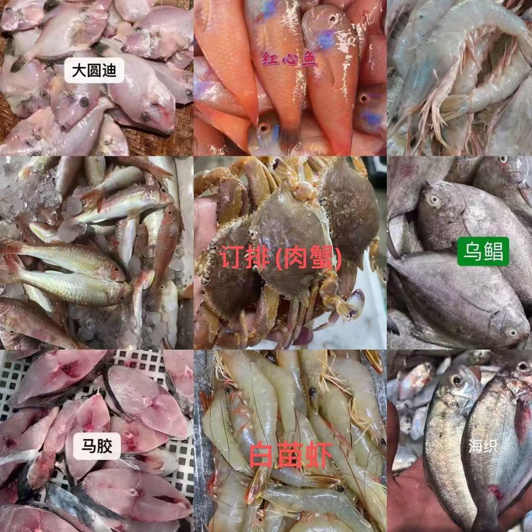 惠来渔鲜鲜水产