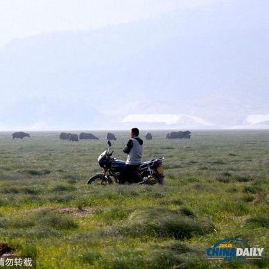不忘初心阳