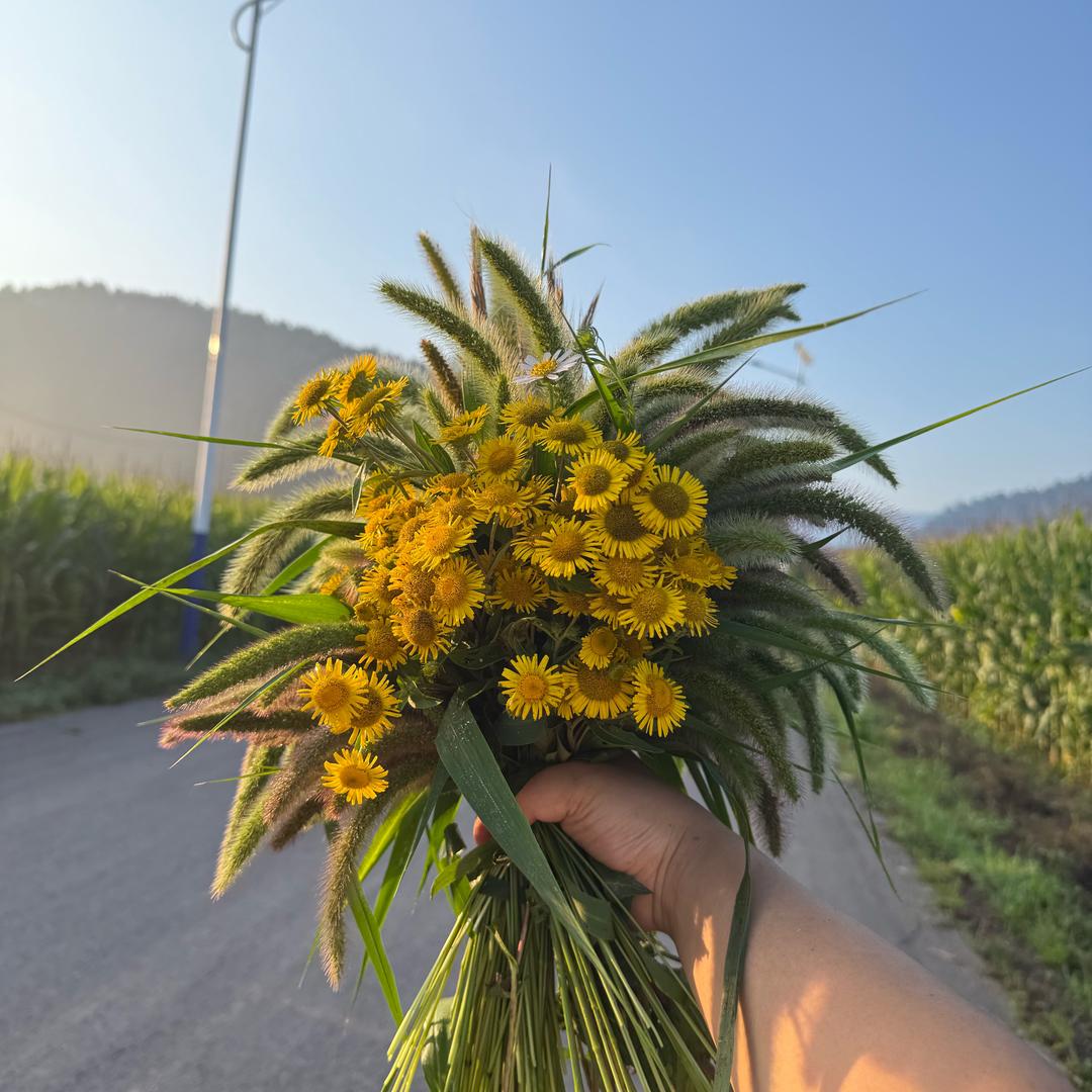 ꦿ ღ᭄ꦿ燕子এ⁵²º᭄《拒聊》