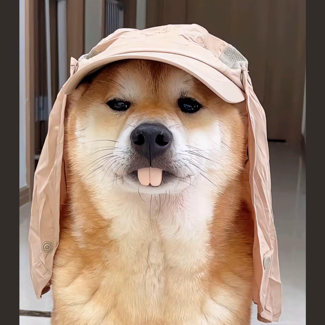 小八嘎