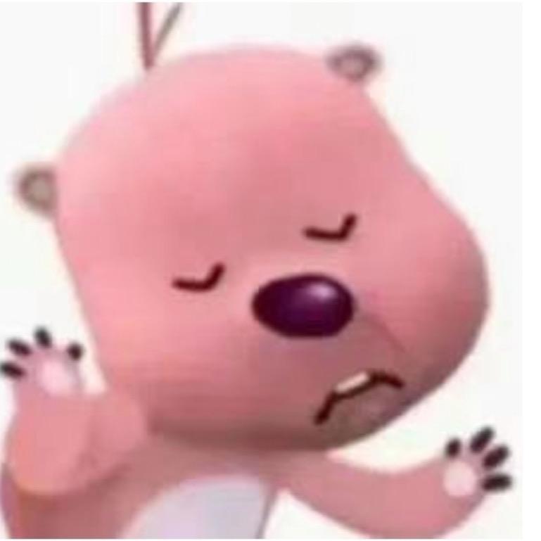 一只花栗鼠🐿️