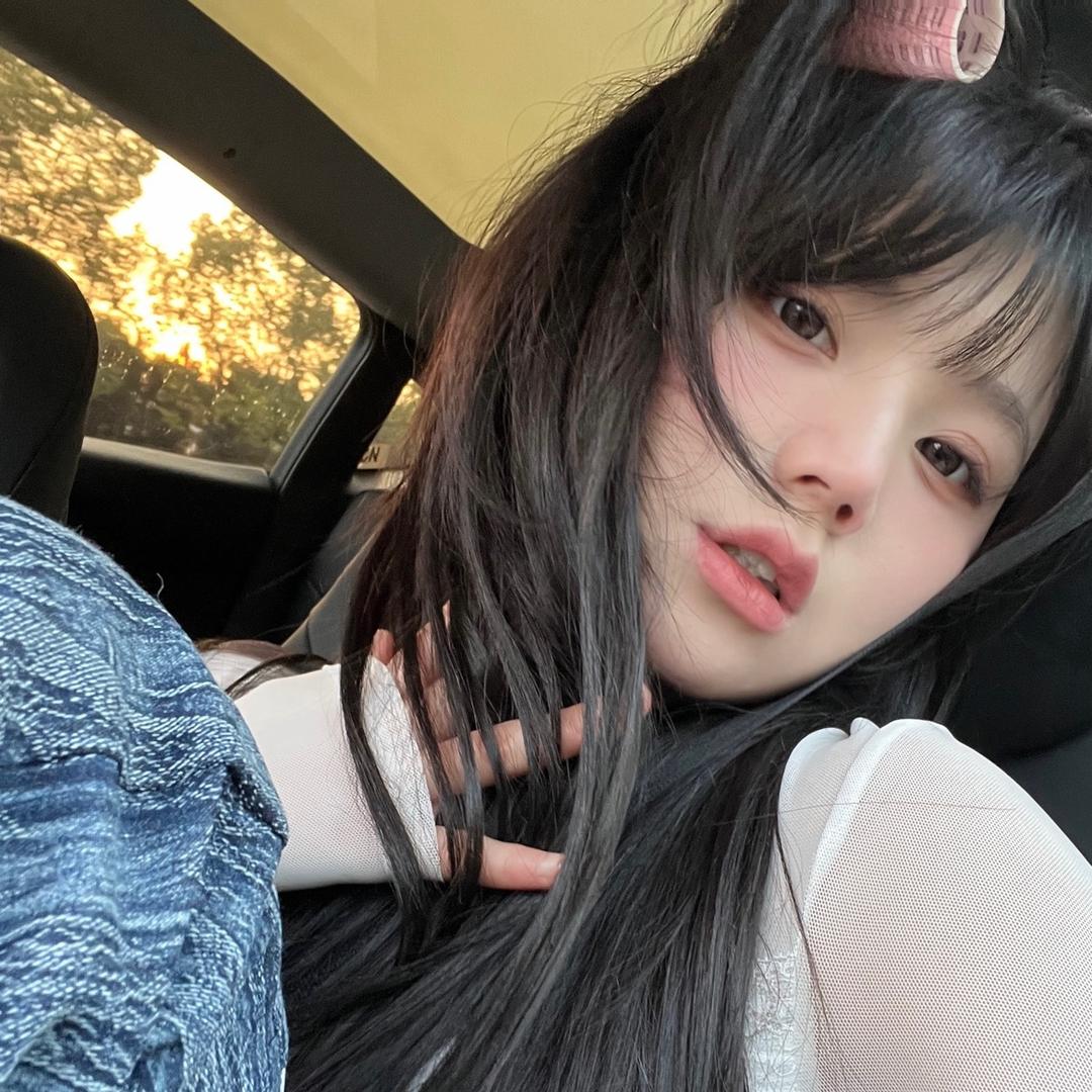 炮炮