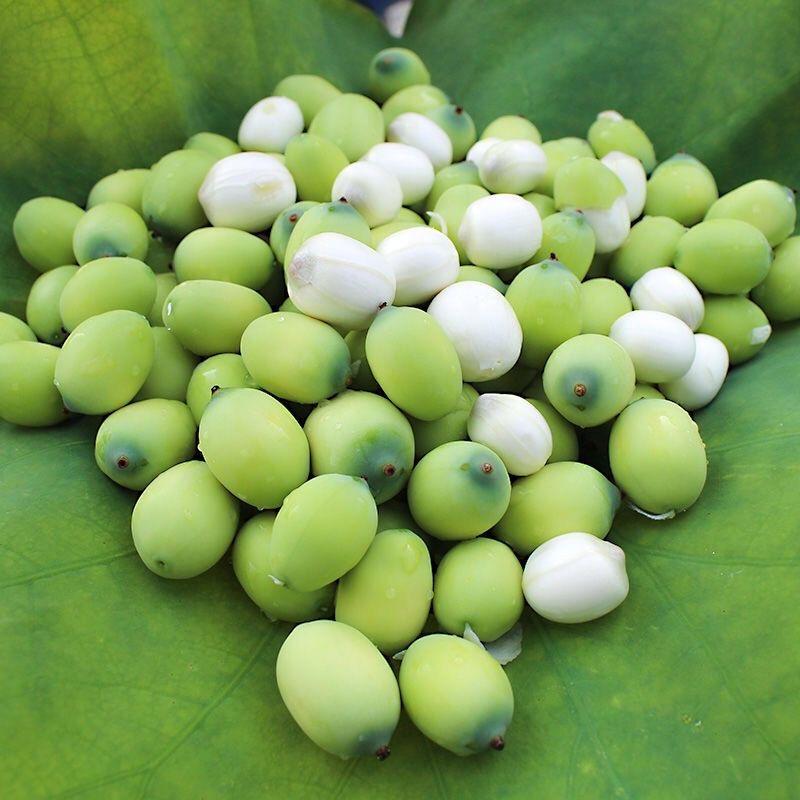 脆果粒芜湖成长树教育咨询有限公司蔬菜制品专卖店