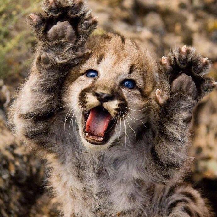 ☕️醉醒♠️咖啡