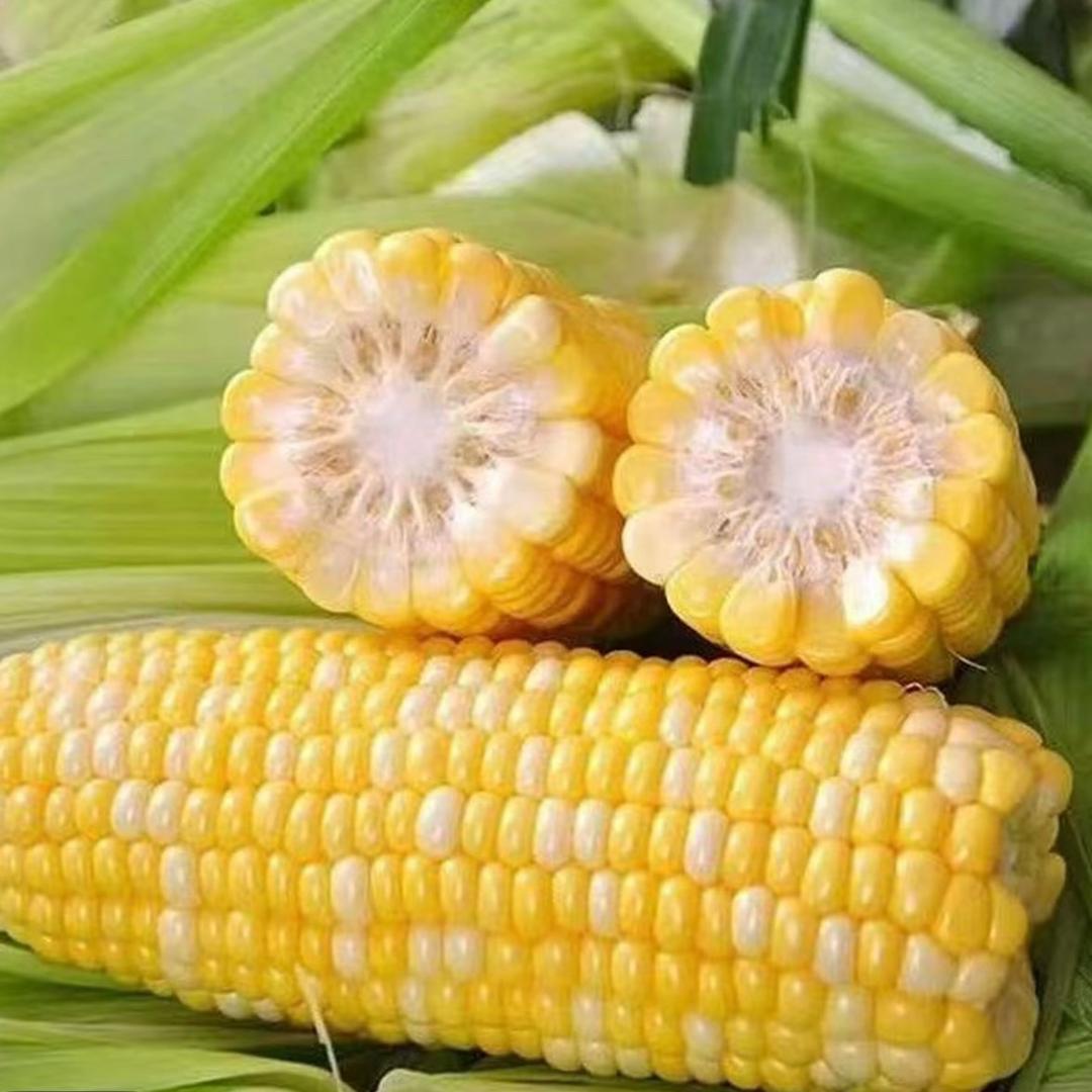 水果玉米