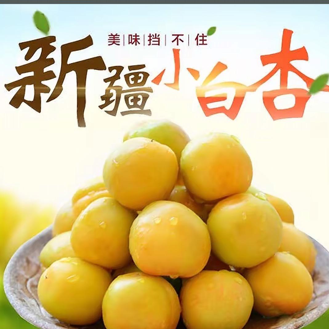 丝路瓜果🐫