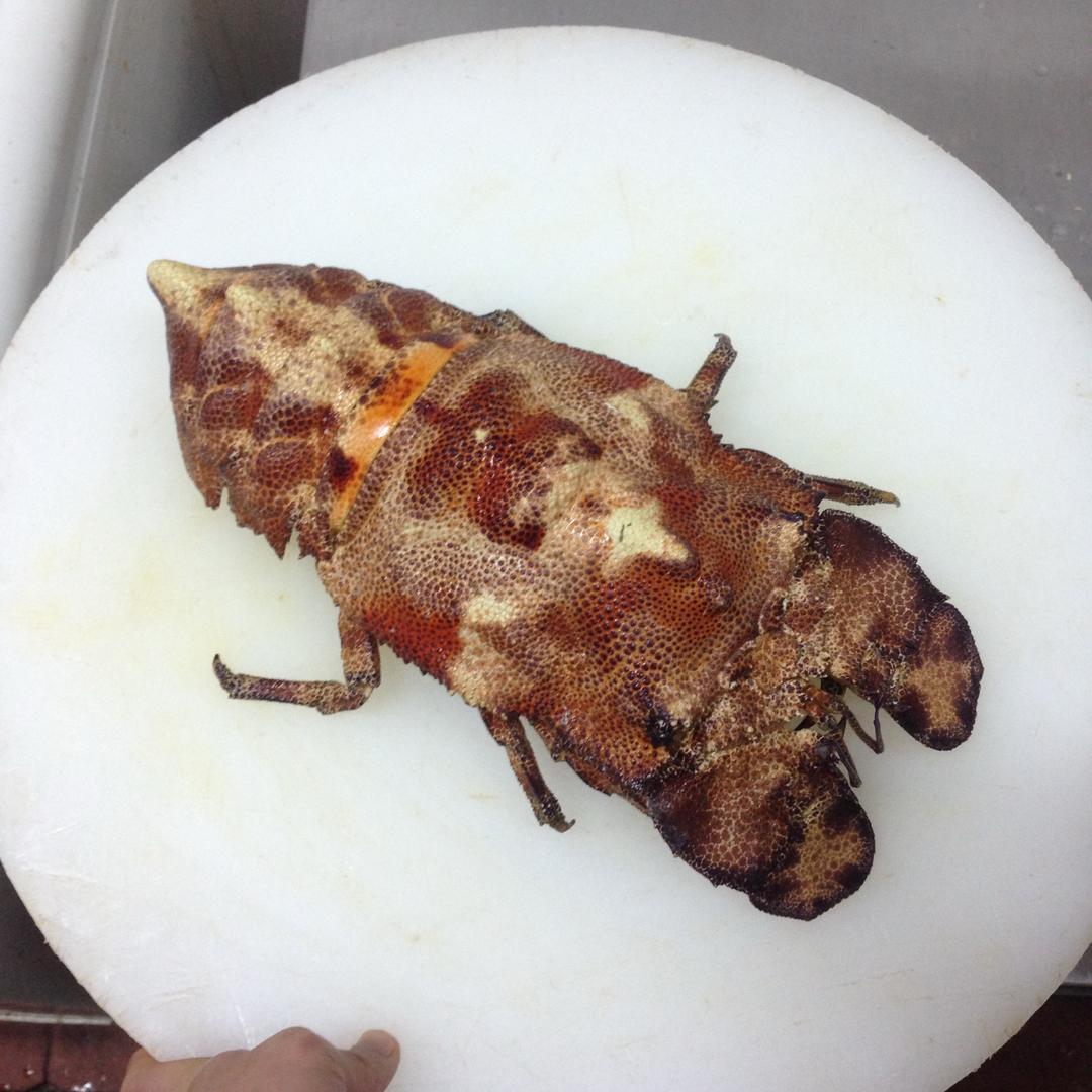 美食制作
