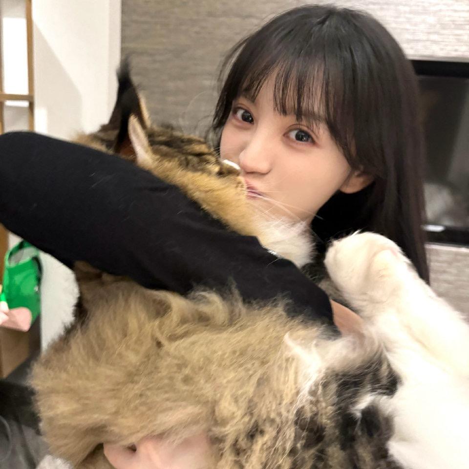 心包包