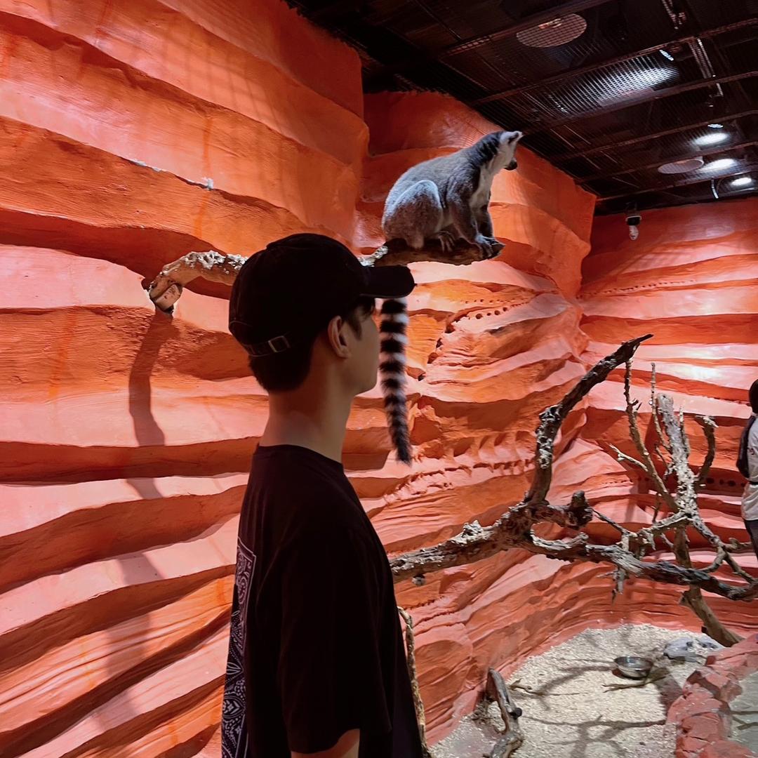 阿恒（招聘版）