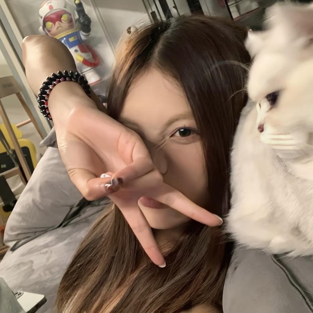 福态的三文治