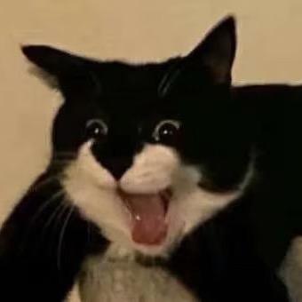 傻傻别睡了