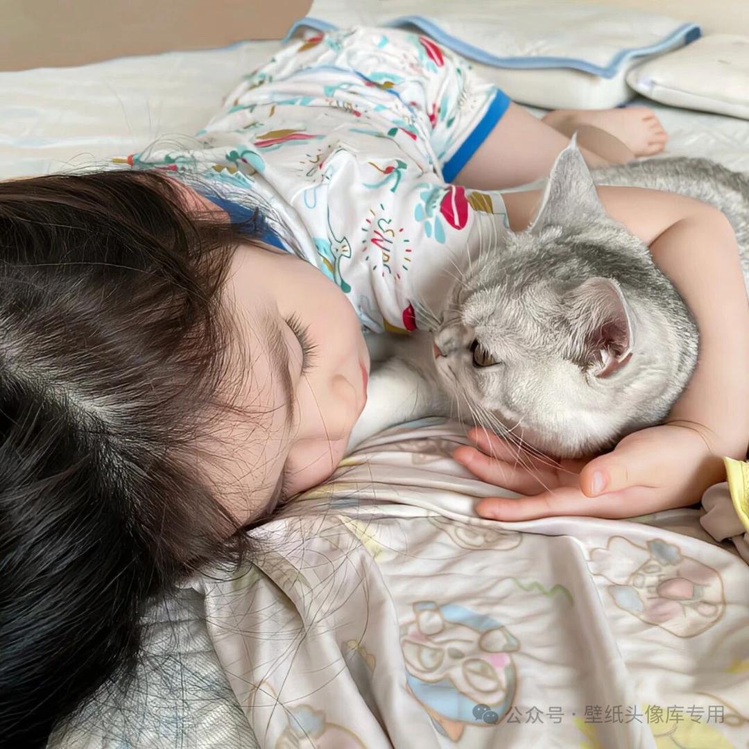 静了个静