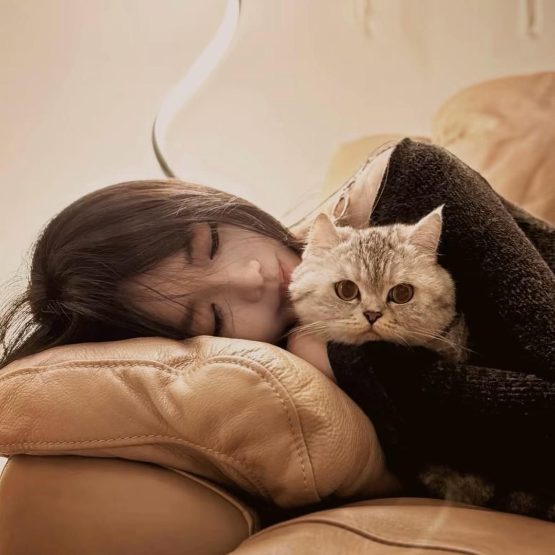 只对小猫温柔