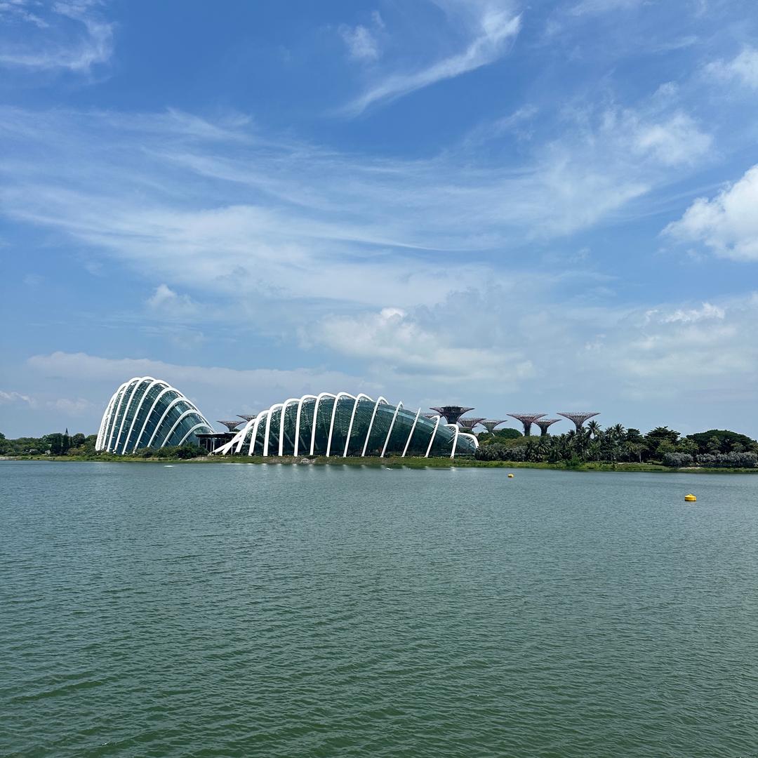 壳你两个